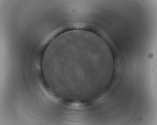 X0000113080212200909182057