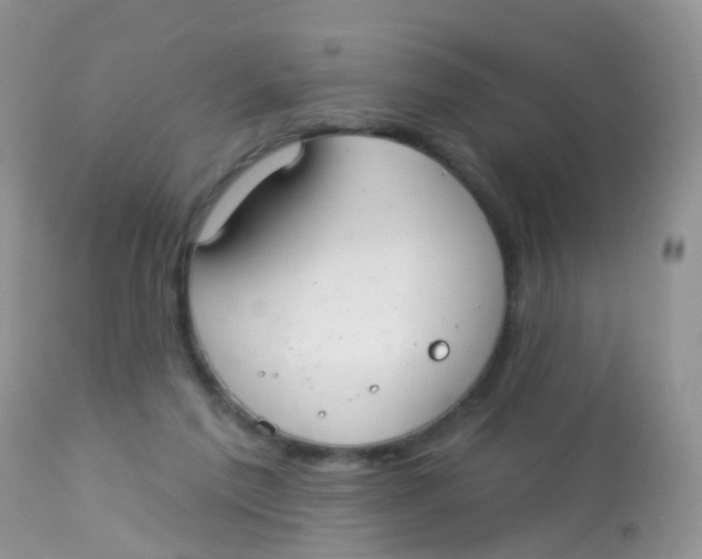 X0000113080213200909182057