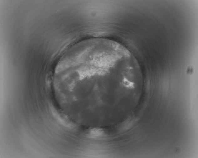 X0000113080214200909182057