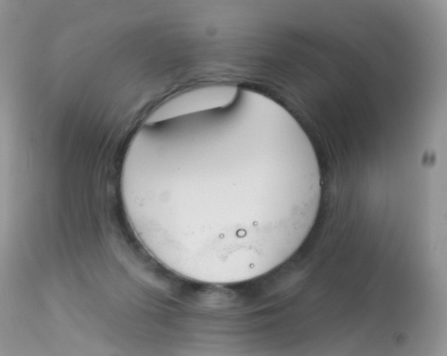 X0000113080215200909182057