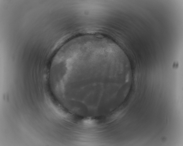X0000113080216200909182057