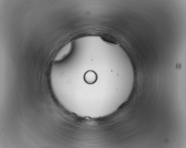 X0000113080217200909182057