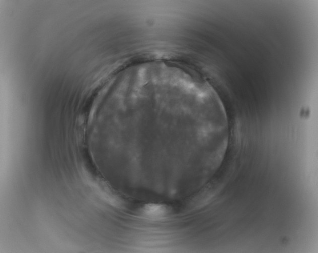 X0000113080218200909182057