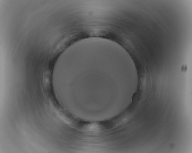 X0000113080219200909182057
