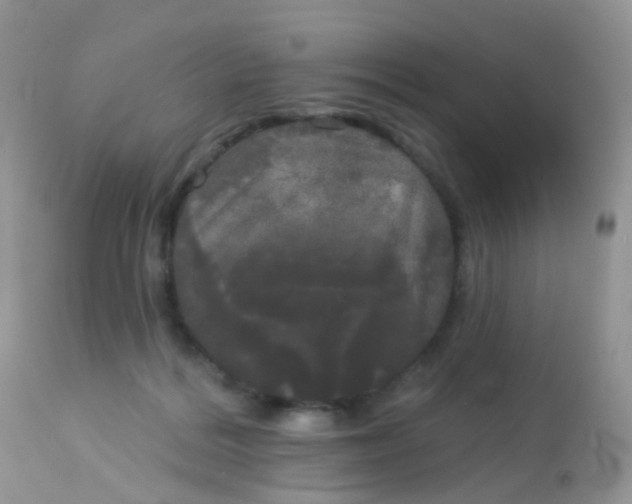 X0000113080220200909182057