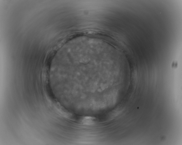 X0000113080222200909182057