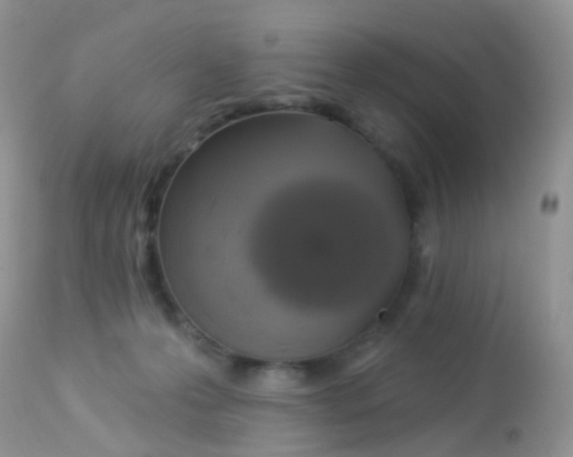 X0000113080223200909182057