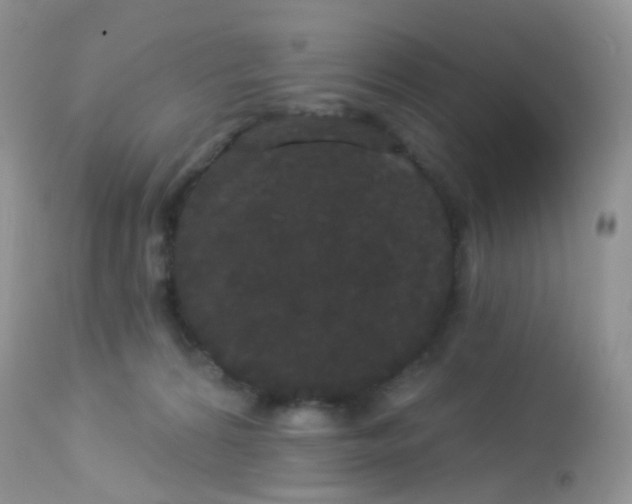X0000113080224200909182057