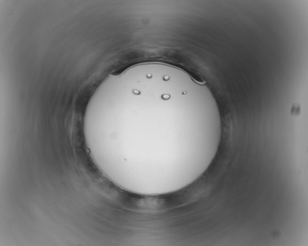 X0000113080225200909182057