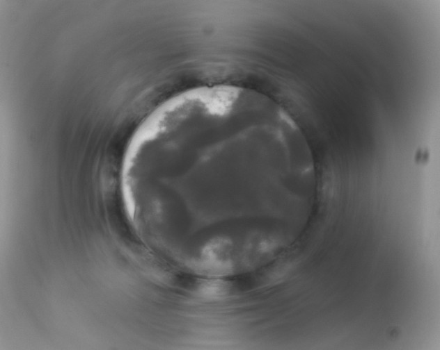 X0000113080226200909182057