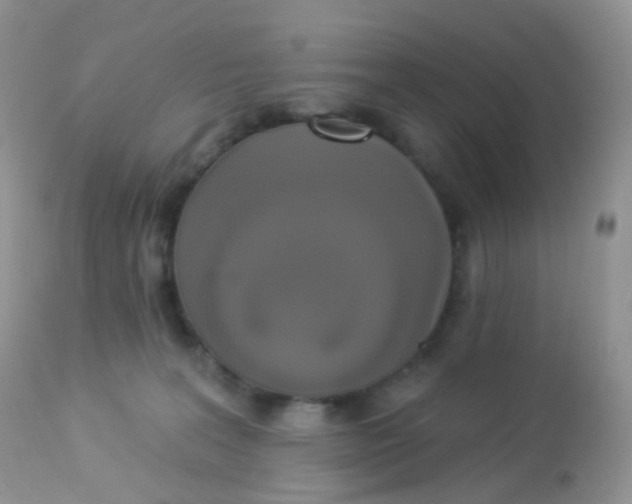 X0000113080227200909182057