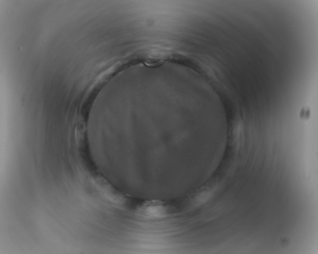 X0000113080228200909182057