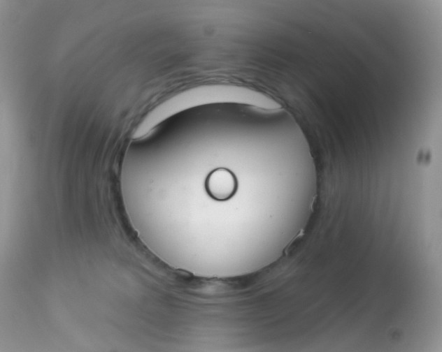 X0000113080229200909182057