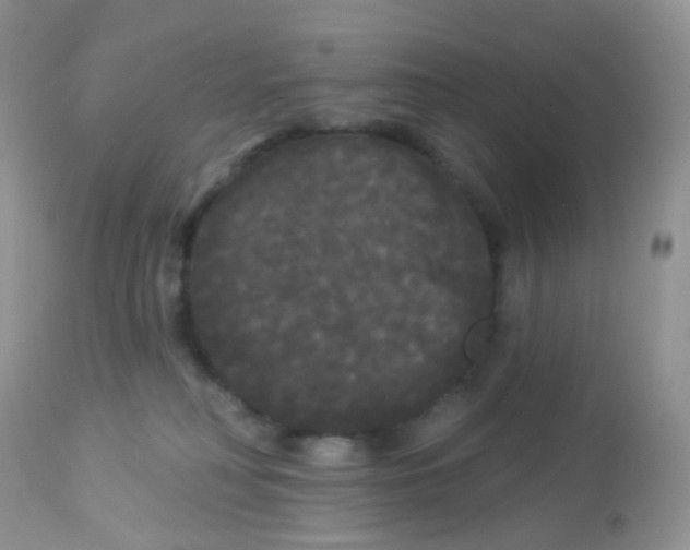 X0000113080230200909182057