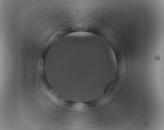 X0000113080231200909182057