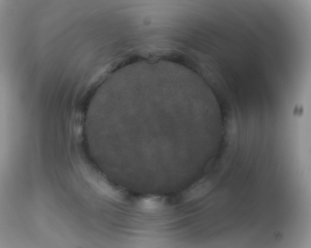 X0000113080232200909182057