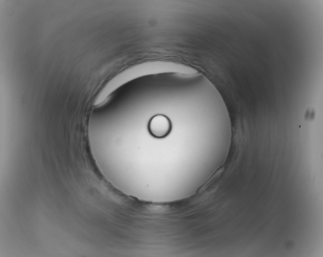 X0000113080233200909182057