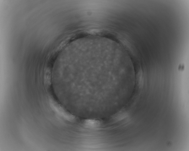 X0000113080234200909182057