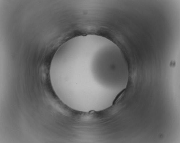 X0000113080235200909182057