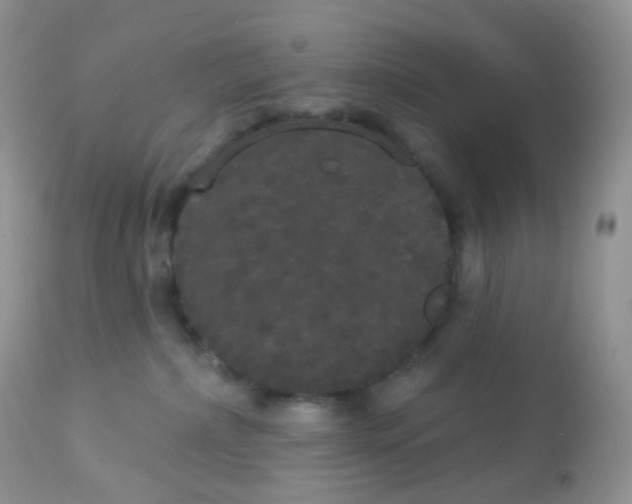 X0000113080236200909182057