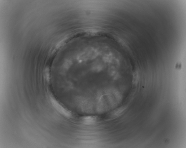 X0000113080238200909182057