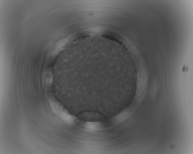 X0000113080240200909182057