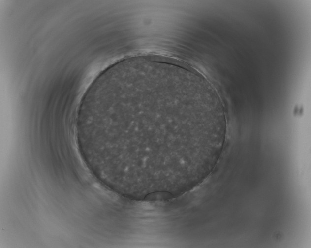 X0000113080241200909182056