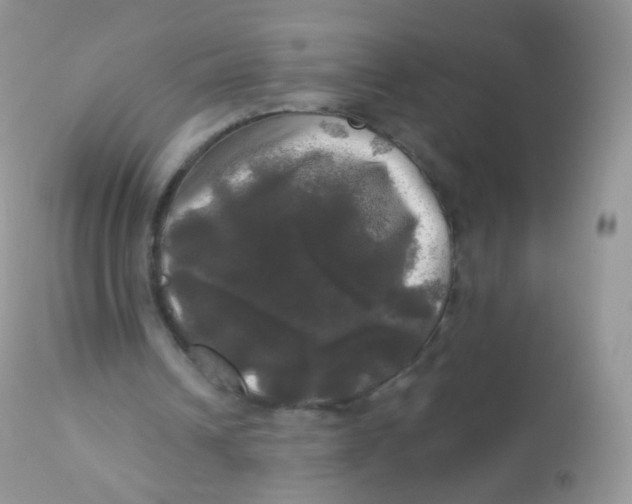 X0000113080242200909182056