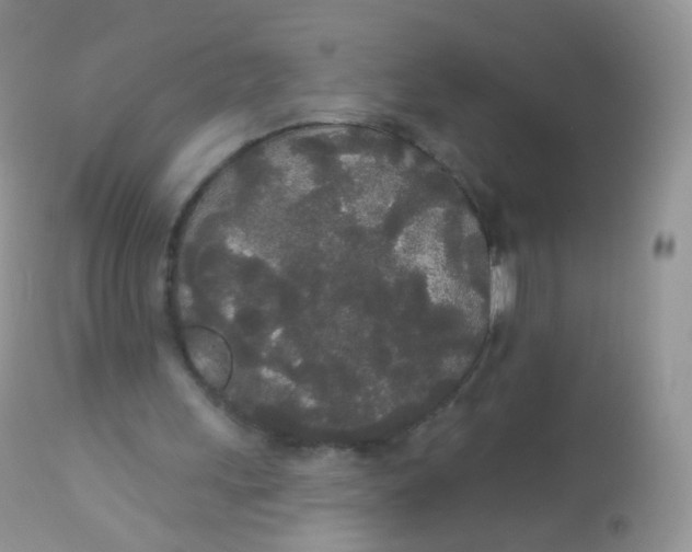 X0000113080243200909182056