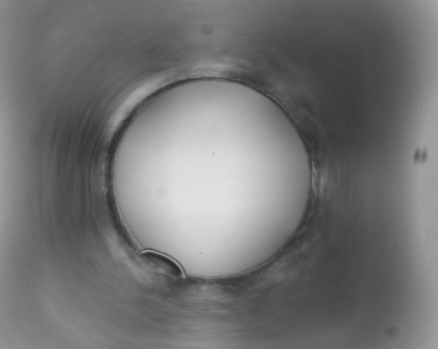 X0000113080244200909182056