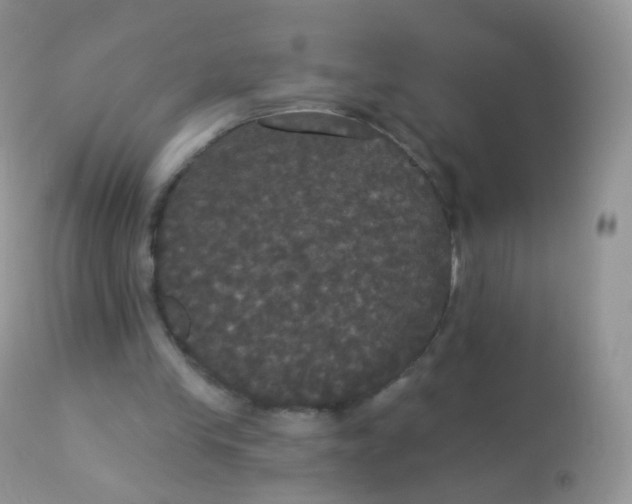 X0000113080245200909182056
