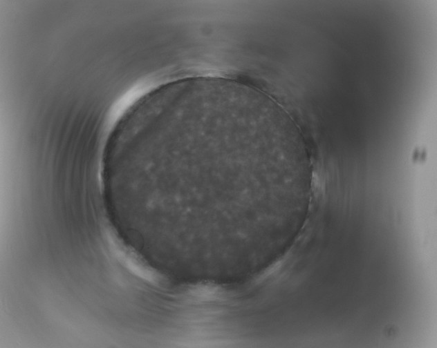 X0000113080246200909182056