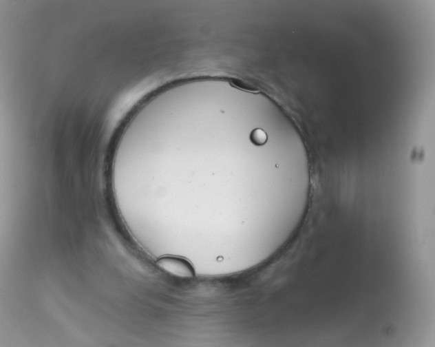 X0000113080248200909182056