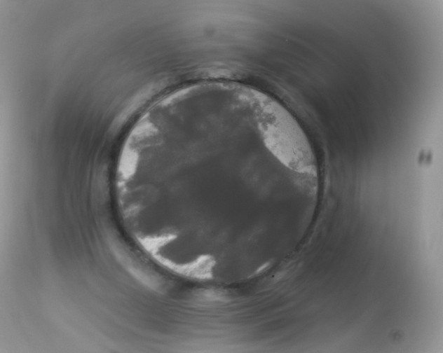 X0000113080250200909182056
