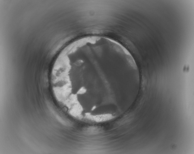 X0000113080251200909182056