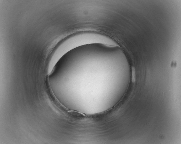 X0000113080252200909182056