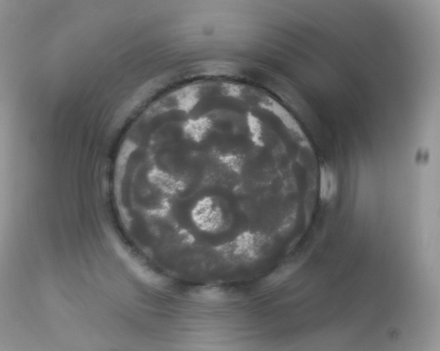 X0000113080253200909182056