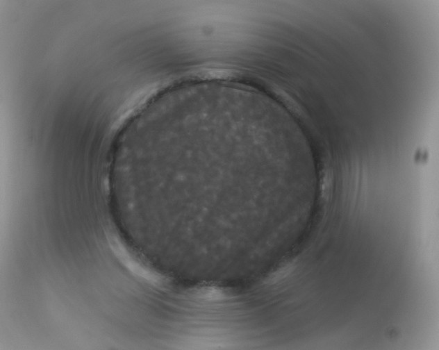 X0000113080254200909182056