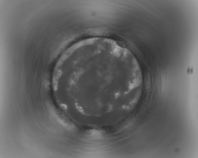 X0000113080255200909182056