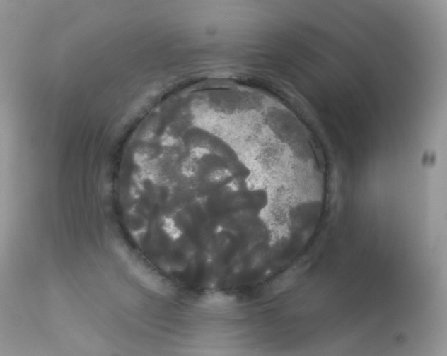 X0000113080257200909182056