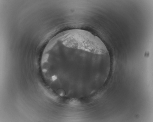 X0000113080258200909182056