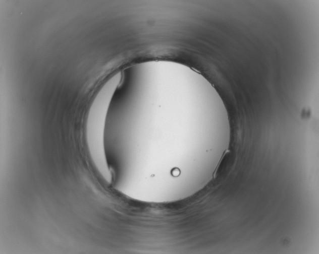 X0000113080260200909182056