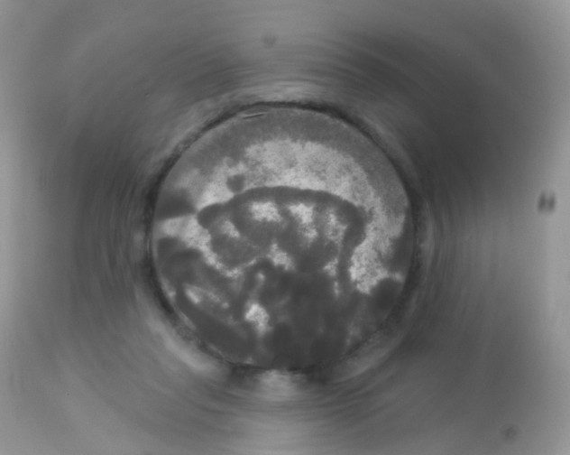 X0000113080261200909182056
