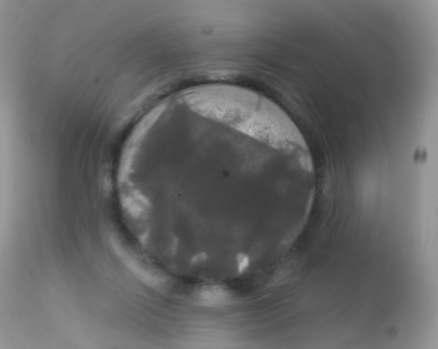 X0000113080262200909182056