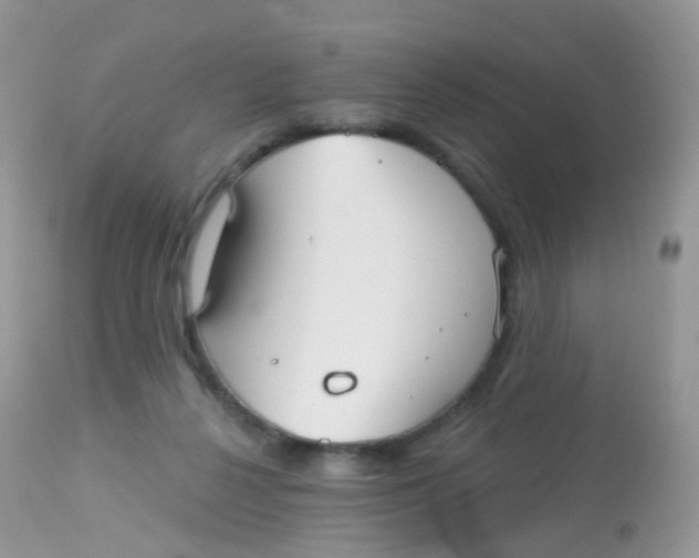 X0000113080264200909182056
