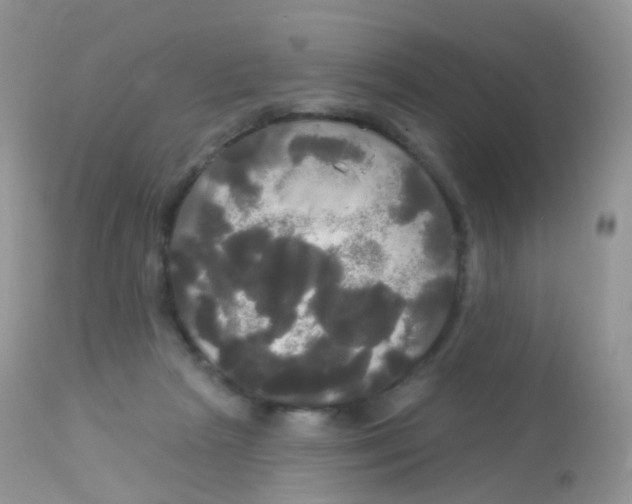 X0000113080265200909182056