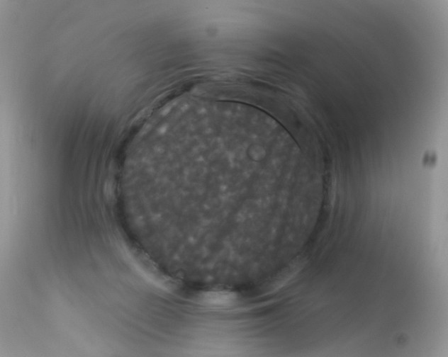 X0000113080266200909182056