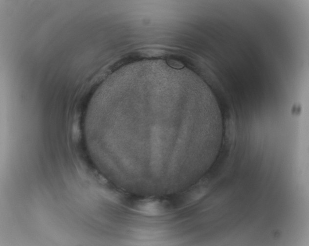 X0000113080267200909182056