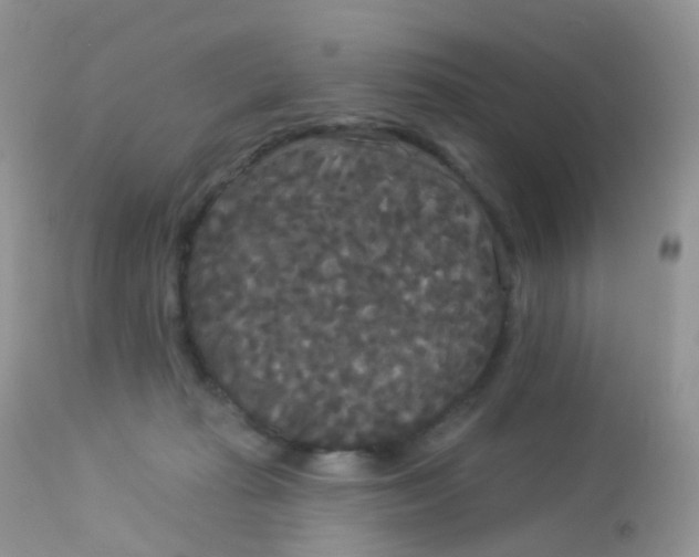 X0000113080269200909182056