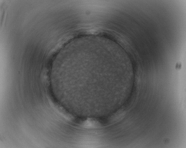 X0000113080270200909182056